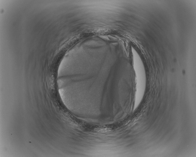 X0000075820689200610151455