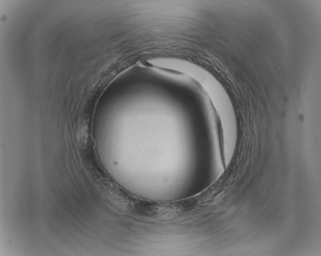 X0000075820697200610151455