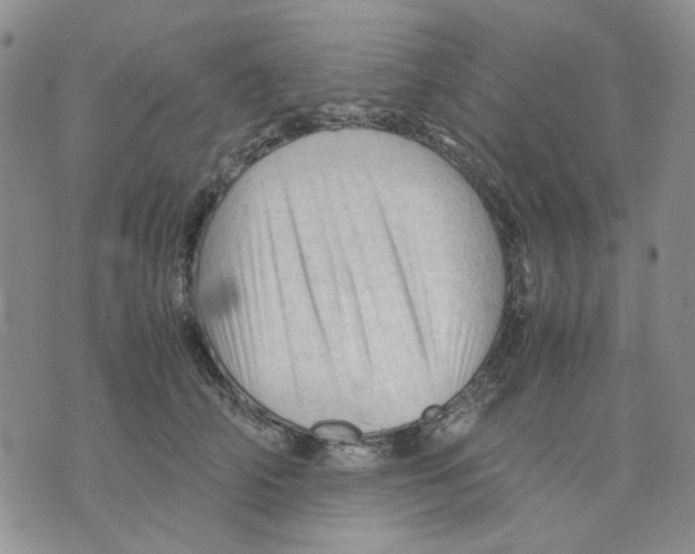 X0000075820706200610151455