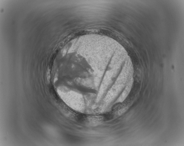 X0000075820707200610151455