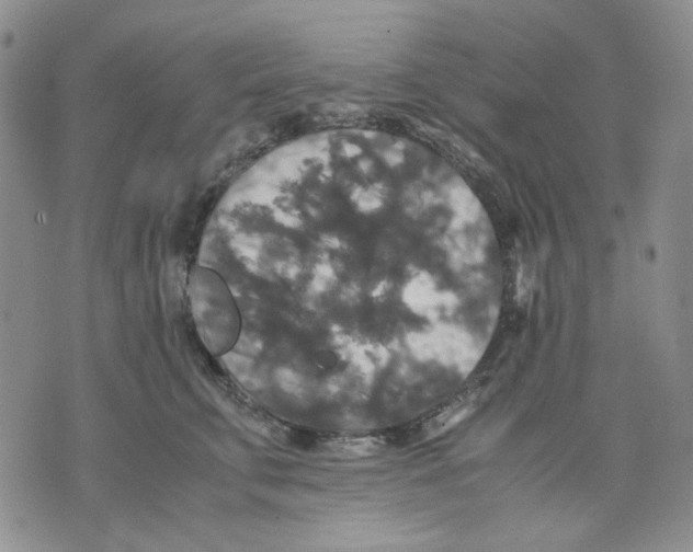 X0000075820711200610151455