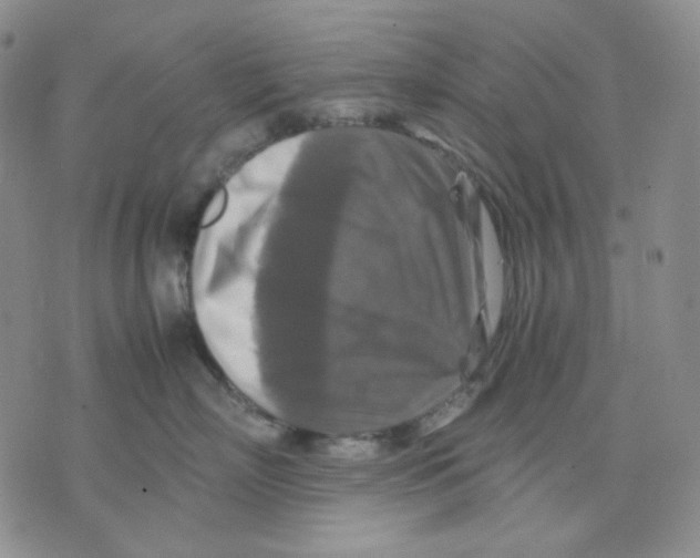 X0000075820718200610151455
