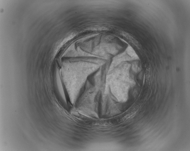 X0000075820727200610151454