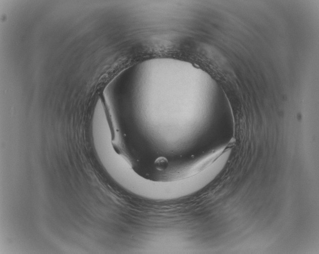 X0000075820750200610151454