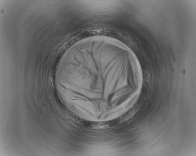 X0000075820754200610151454
