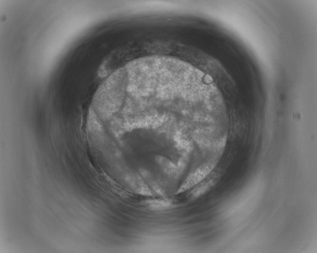 X0000075820765200610151455