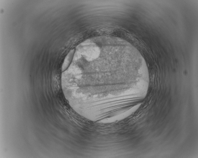 X0000075820772200610151454