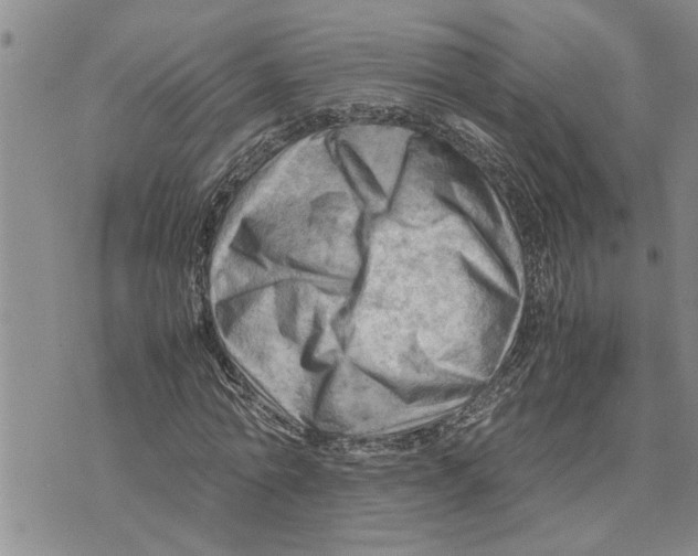 X0000075820774200610151454