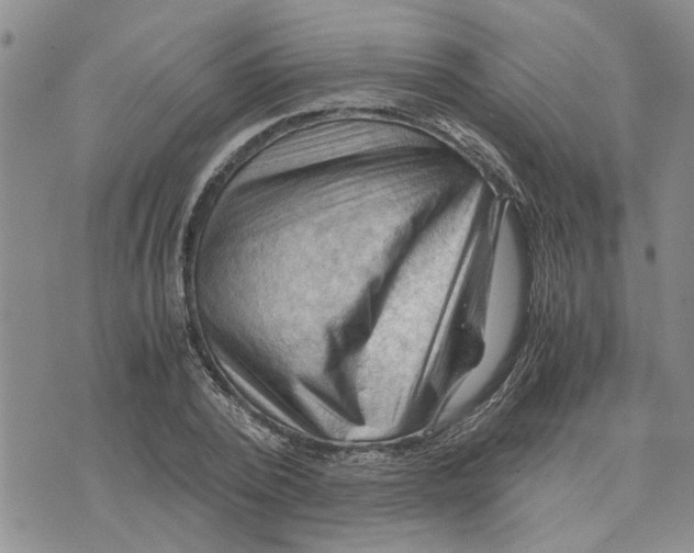 X0000075820784200610151454
