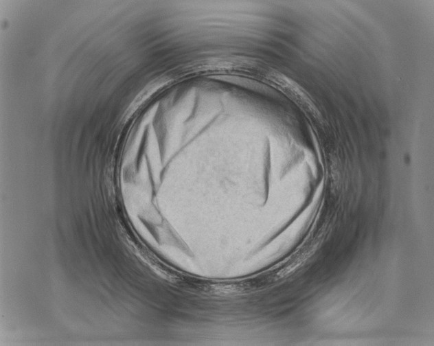 X0000075820794200610151453