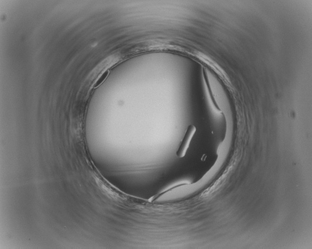 X0000075820801200610151453