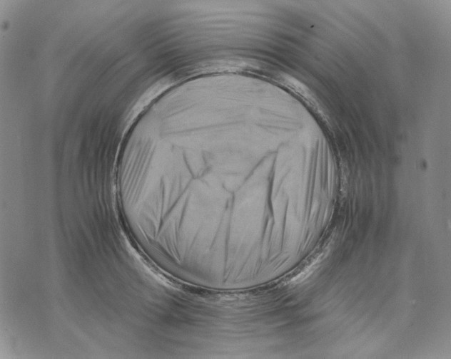 X0000075820802200610151453