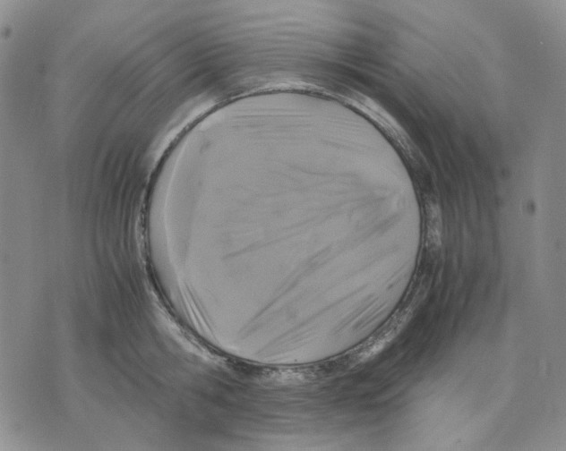 X0000075820806200610151453