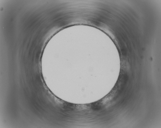 X0000075820807200610151453