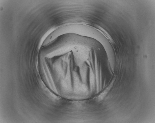 X0000075820812200610151453