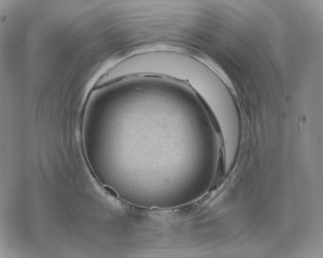 X0000075820813200610151453