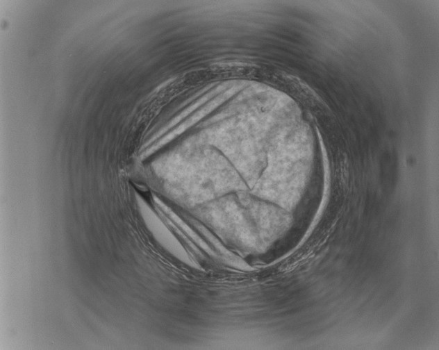 X0000075820821200610151452