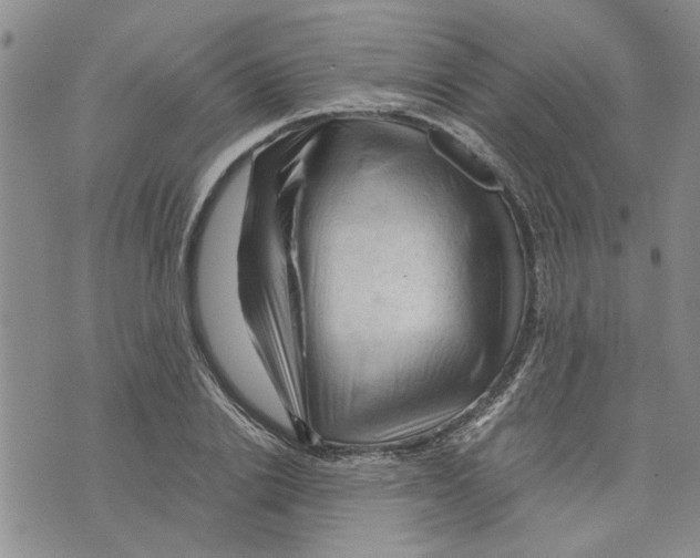 X0000075820838200610151453