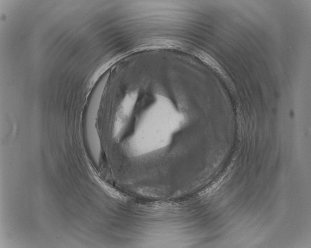 X0000075820842200610151453