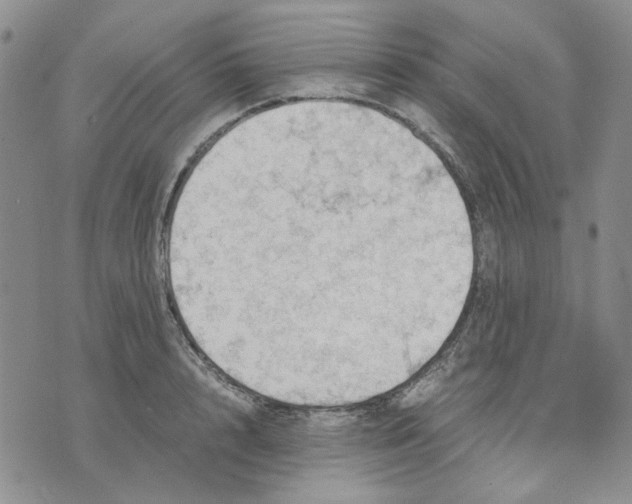 X0000075820848200610151453