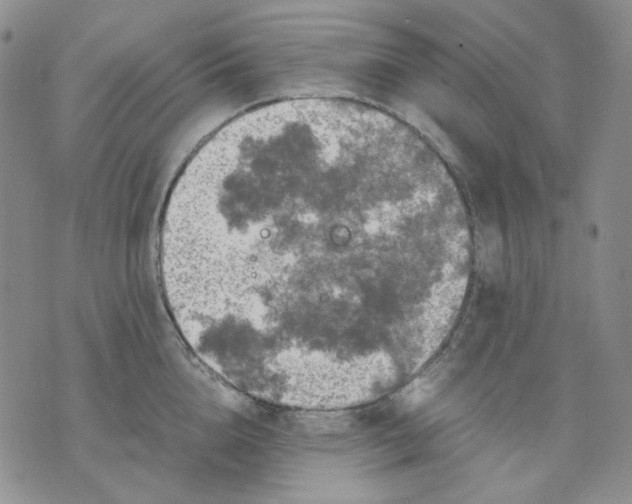 X0000075820856200610151453