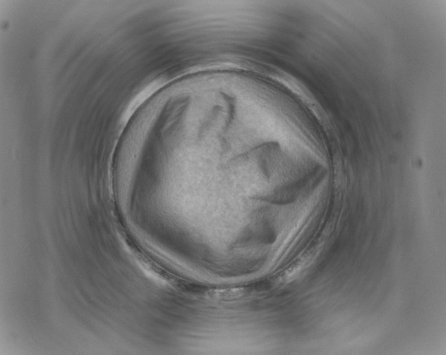 X0000075820858200610151453