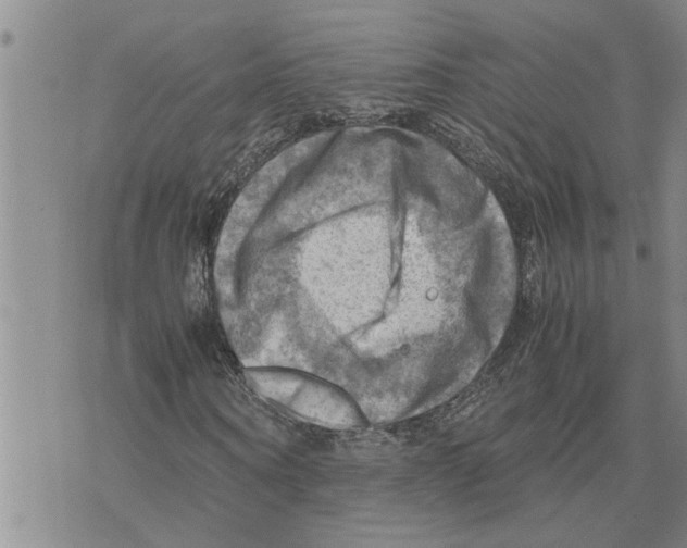 X0000075820866200610151452