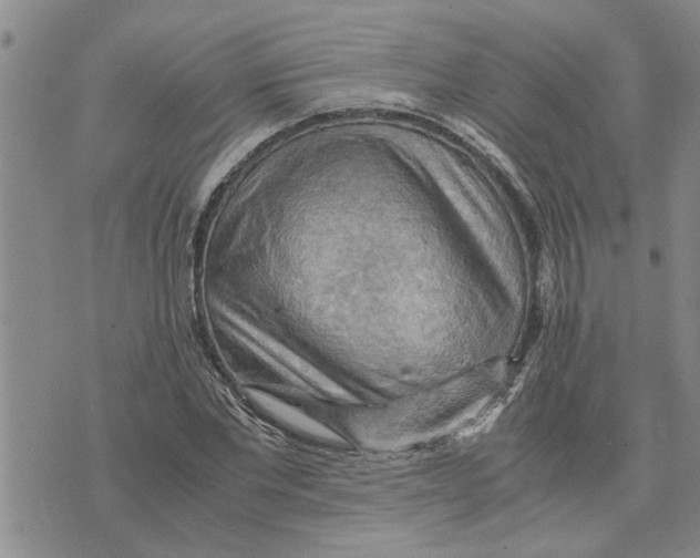 X0000075820877200610151452