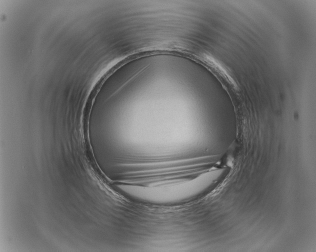 X0000075820884200610151452