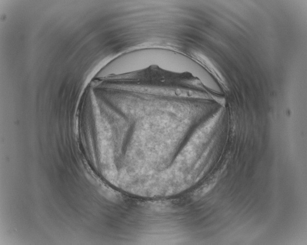 X0000075820900200610151452