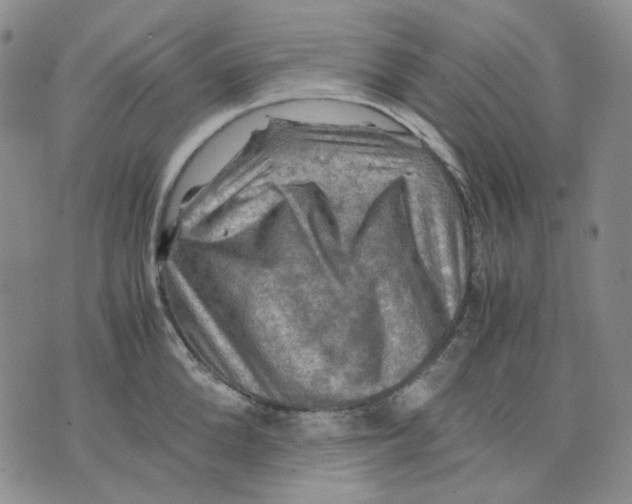 X0000075820904200610151452