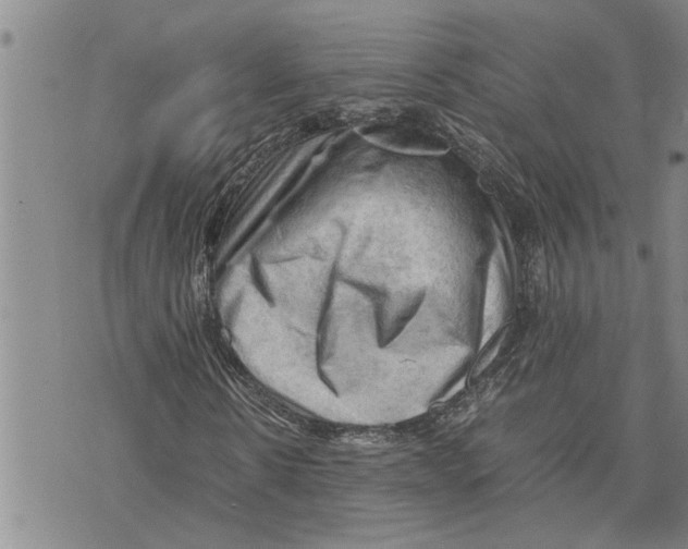 X0000075820914200610151451
