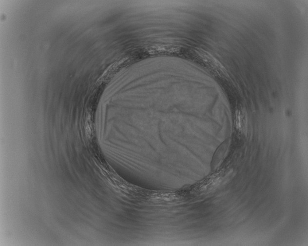 X0000075820915200610151451