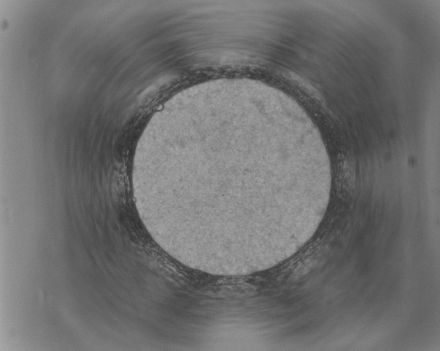 X0000075820918200610151451