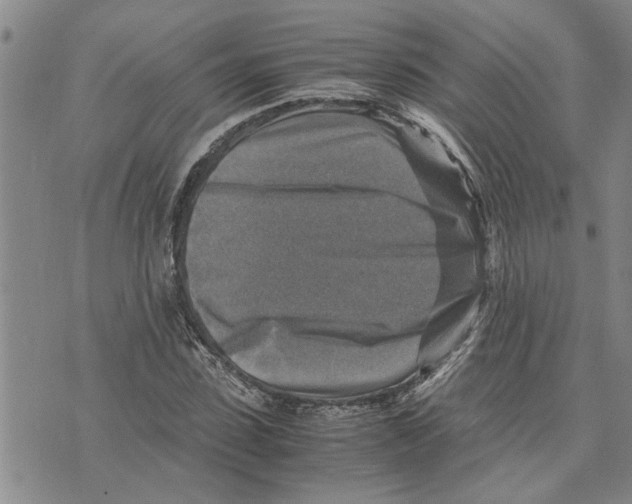 X0000075820923200610151451