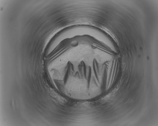 X0000075820926200610151451