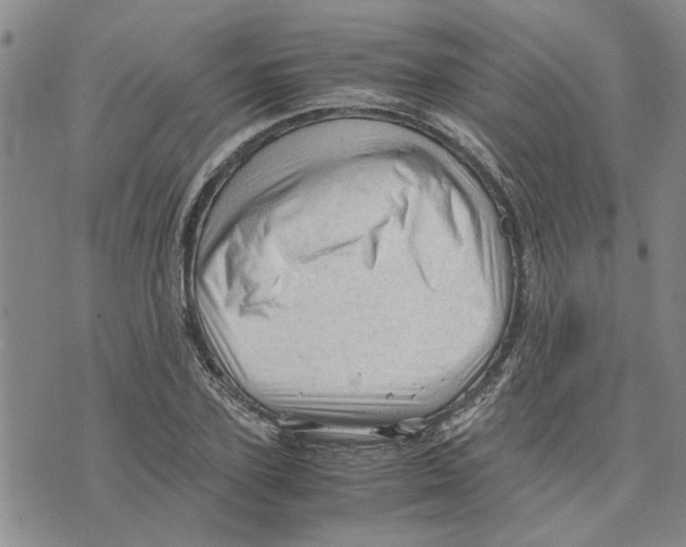 X0000075820931200610151451