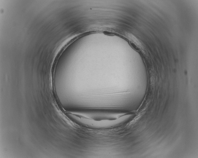 X0000075820940200610151451