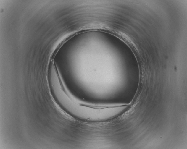 X0000075820942200610151451