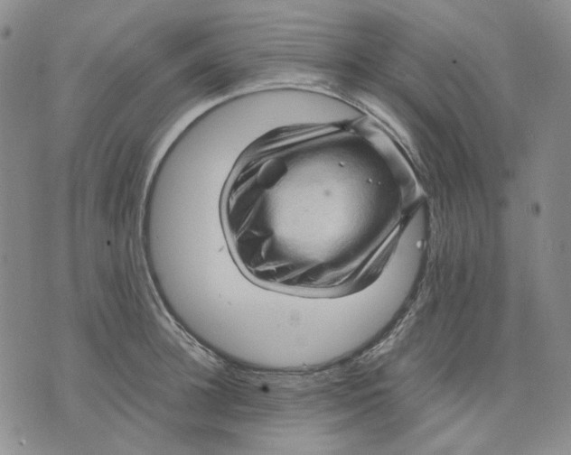 X0000075820948200610151451