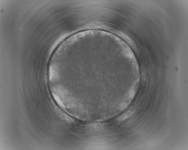 X0000075820950200610151451