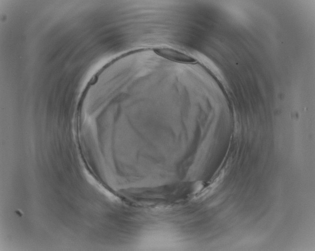 X0000075820958200610151451
