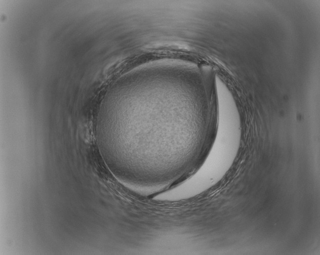 X0000075820965200610151451