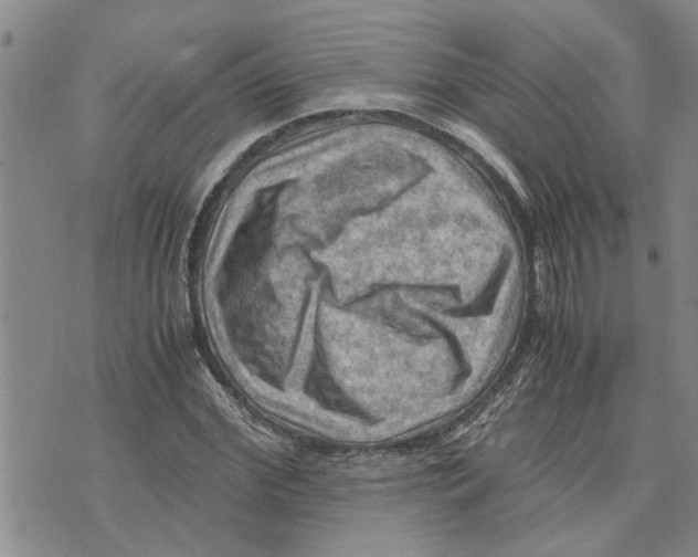 X0000075820972200610151451