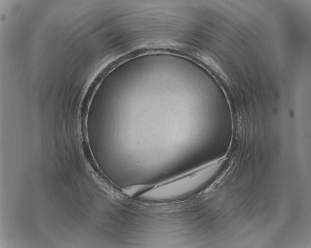X0000075820976200610151450