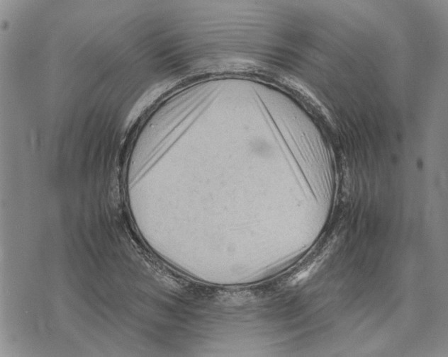 X0000075820978200610151450