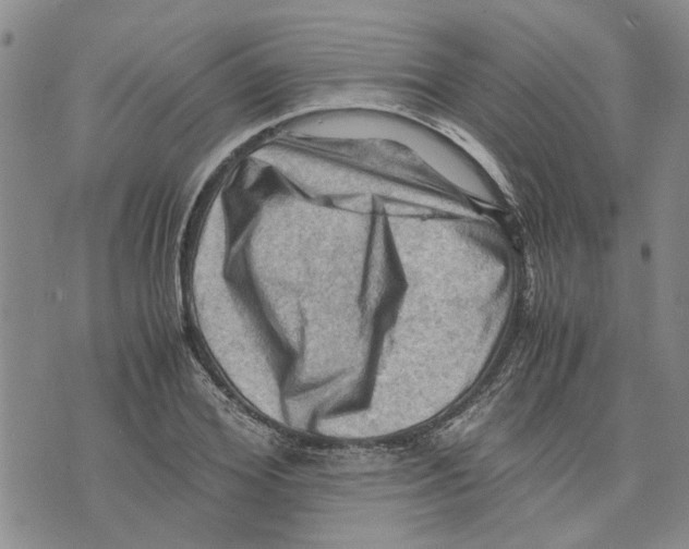 X0000075820980200610151450