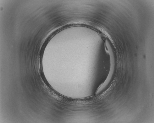 X0000075820984200610151450