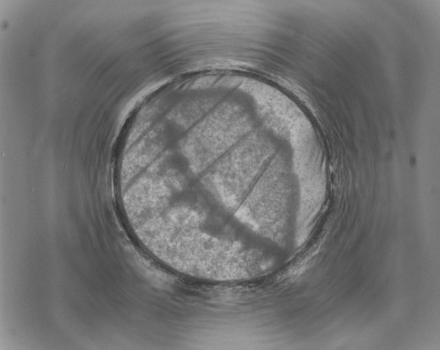 X0000075820987200610151450