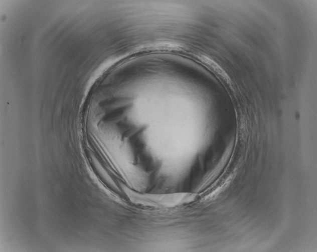 X0000075820989200610151450
